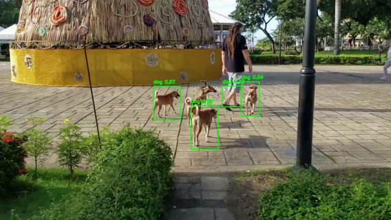 Animal Detection